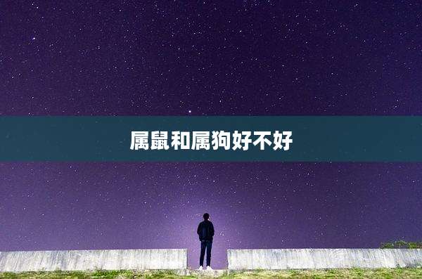 属鼠和属狗好不好
