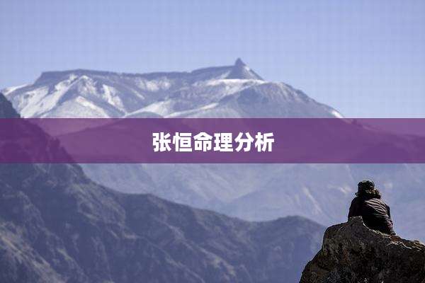 张恒命理分析