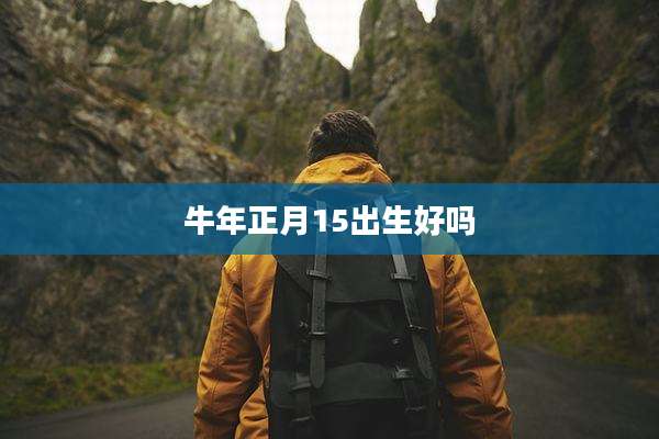 牛年正月15出生好吗