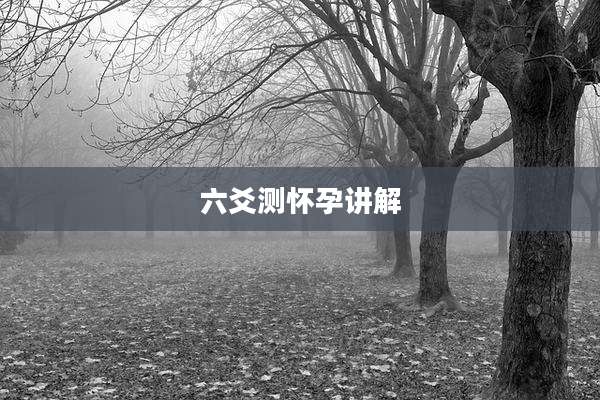 六爻测怀孕讲解