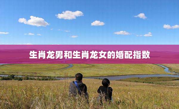 生肖龙男和生肖龙女的婚配指数