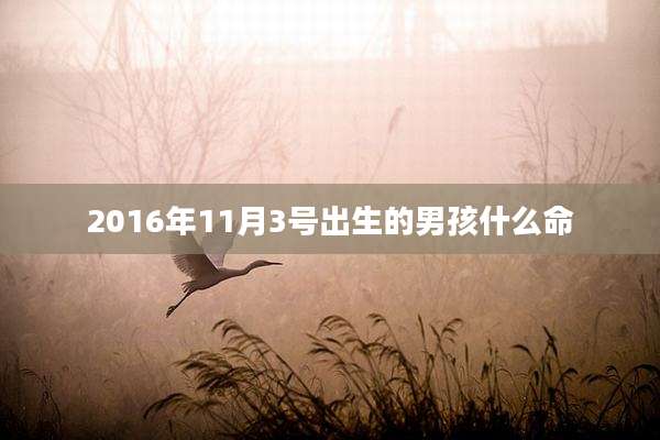 2016年11月3号出生的男孩什么命