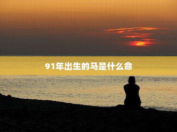 91年出生的马是什么命