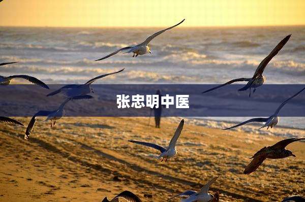 张忠明中医