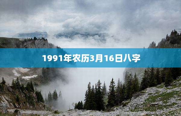 1991年农历3月16日八字