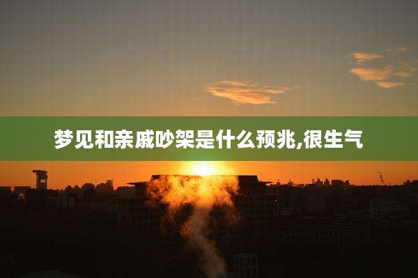 梦见和亲戚吵架是什么预兆,很生气