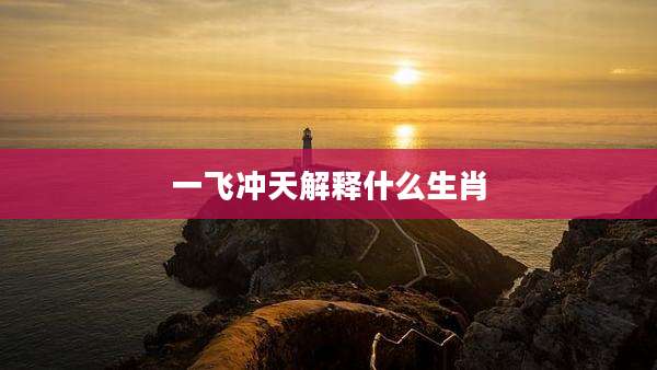 一飞冲天解释什么生肖