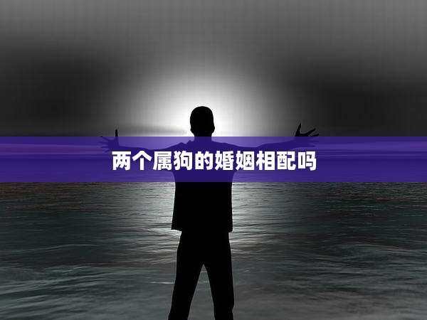 两个属狗的婚姻相配吗