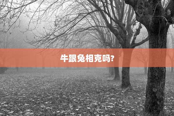 牛跟兔相克吗?