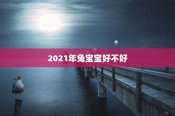 2021年兔宝宝好不好