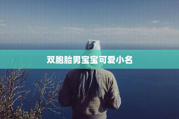 双胞胎男宝宝可爱小名