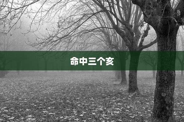 命中三个亥