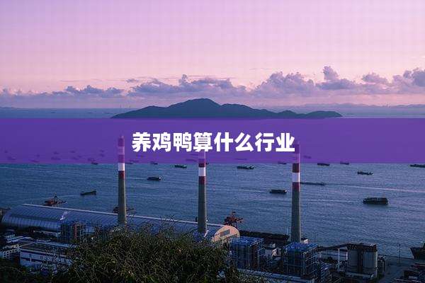 养鸡鸭算什么行业