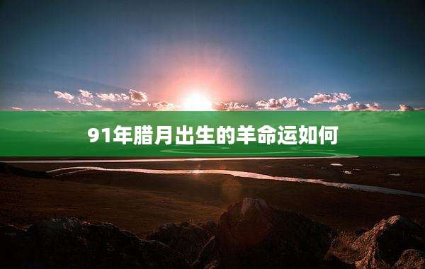 91年腊月出生的羊命运如何