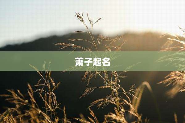 萧子起名