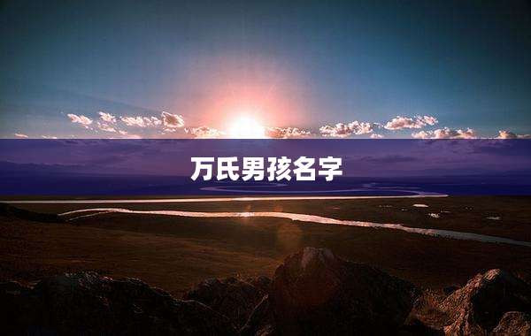 万氏男孩名字