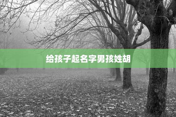 给孩子起名字男孩姓胡