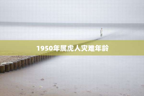 1950年属虎人灾难年龄