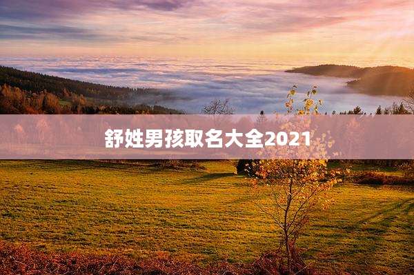舒姓男孩取名大全2021