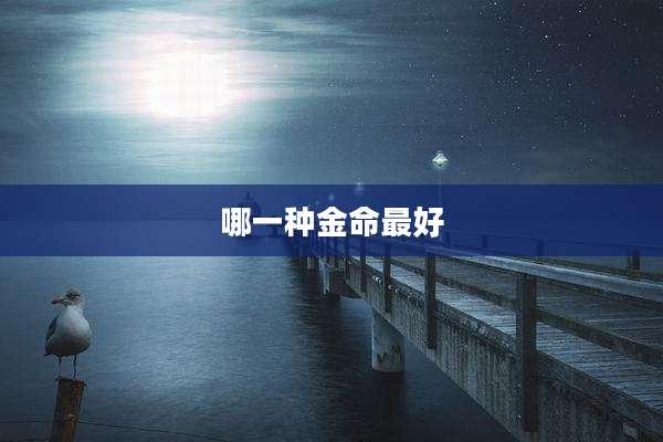 哪一种金命最好