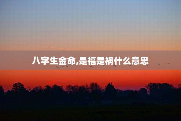 八字生金命,是福是祸什么意思