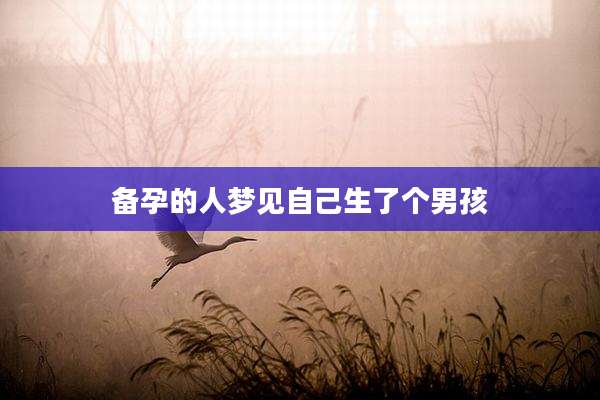 备孕的人梦见自己生了个男孩