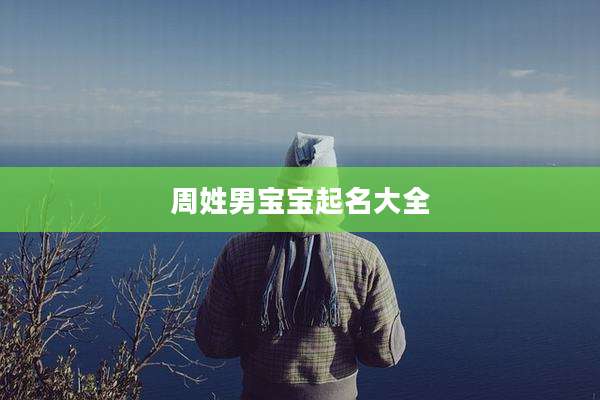 周姓男宝宝起名大全