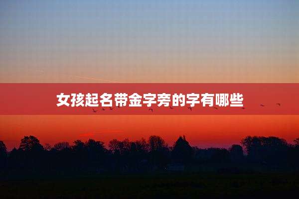 女孩起名带金字旁的字有哪些