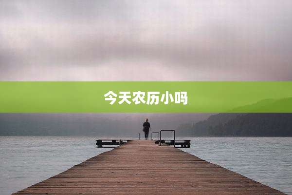 今天农历小吗