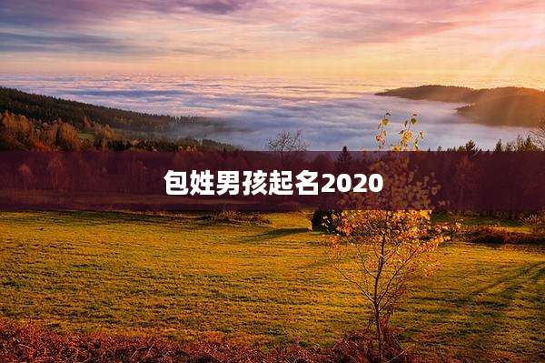 包姓男孩起名2020