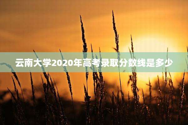 云南大学2020年高考录取分数线是多少