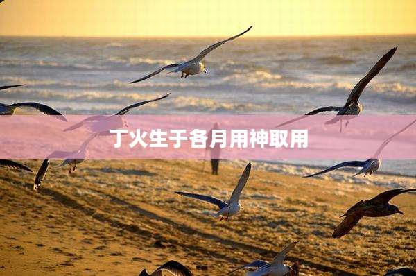 丁火生于各月用神取用