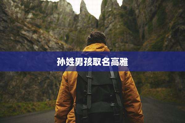 孙姓男孩取名高雅