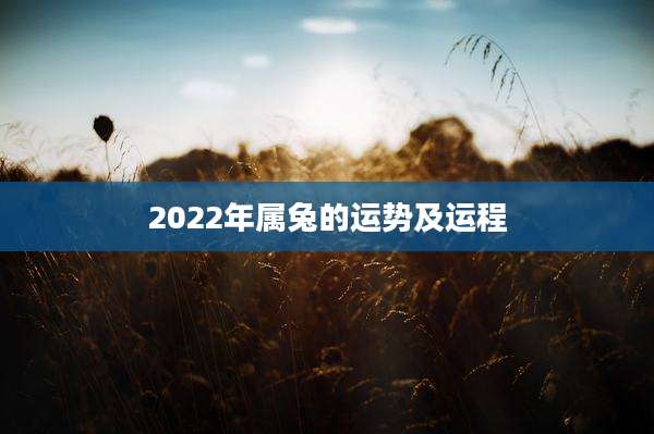 2022年属兔的运势及运程