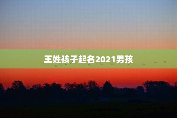 王姓孩子起名2021男孩