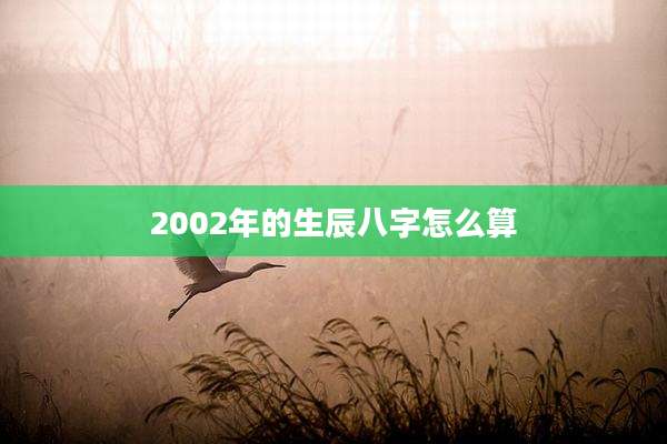 2002年的生辰八字怎么算