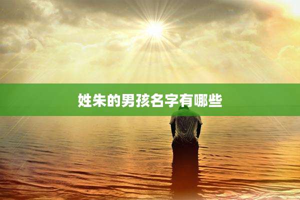 姓朱的男孩名字有哪些
