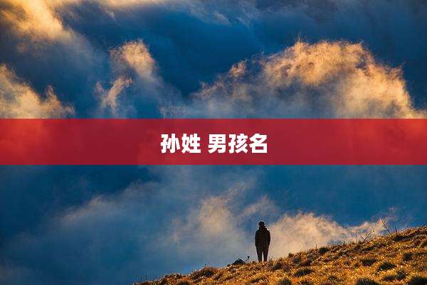 孙姓 男孩名