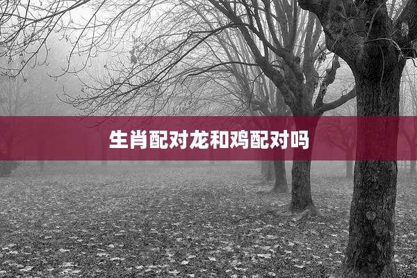 生肖配对龙和鸡配对吗