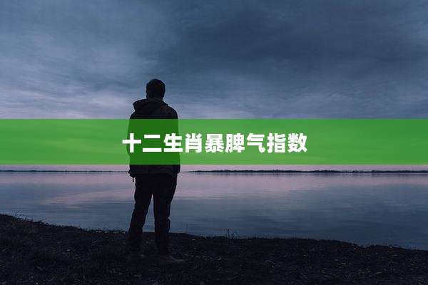 十二生肖暴脾气指数