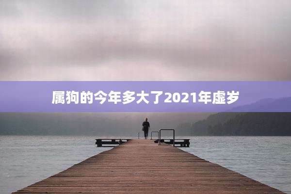 属狗的今年多大了2021年虚岁