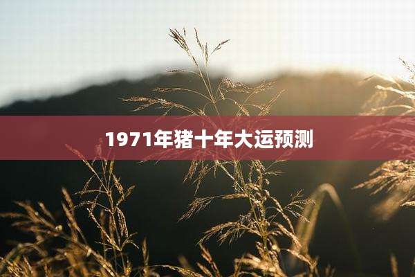 1971年猪十年大运预测