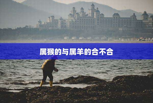 属猴的与属羊的合不合