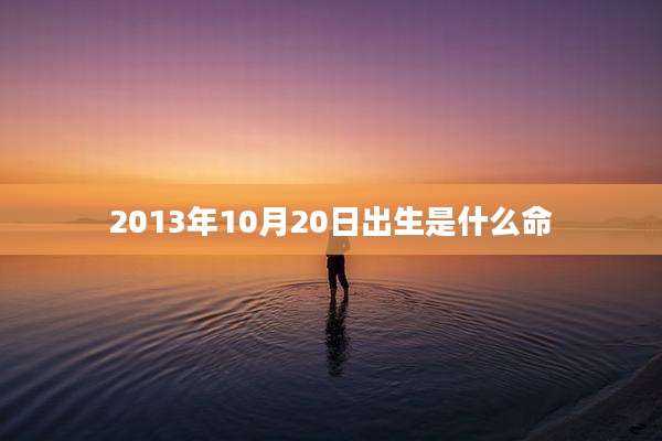 2013年10月20日出生是什么命