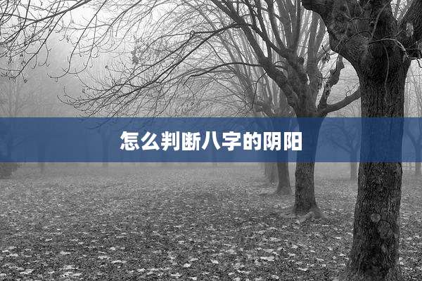 怎么判断八字的阴阳