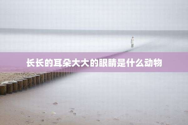 长长的耳朵大大的眼睛是什么动物