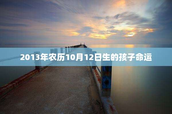 2013年农历10月12日生的孩子命运