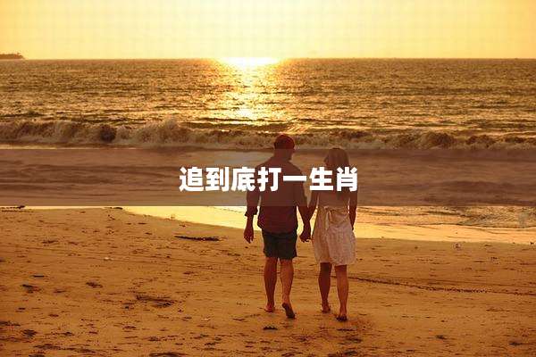 追到底打一生肖