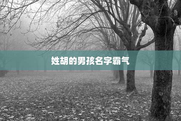 姓胡的男孩名字霸气