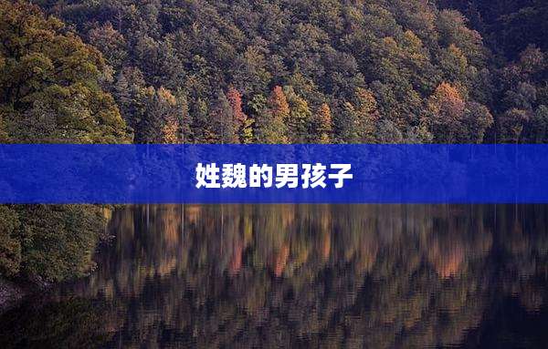姓魏的男孩子